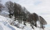 MONTE TESORO mercoledì 27 gennaio 2010  -  FOTOGALLERY